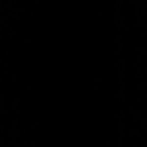 Meet your Posher, Zay