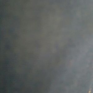 Meet your Posher, Latisha