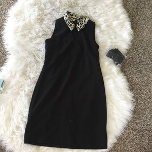NWT black dress with leopard collar