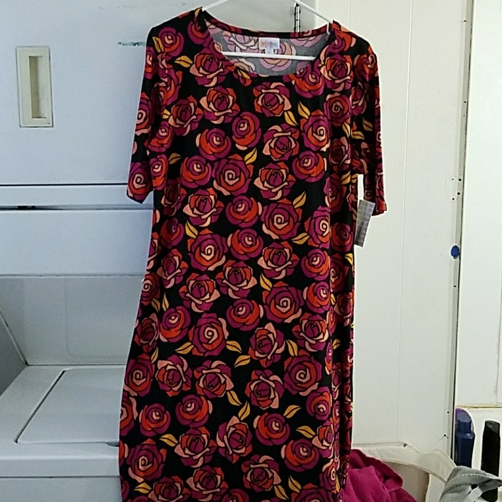 Lularoe Julia dress