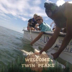 Meet your Posher, Kat