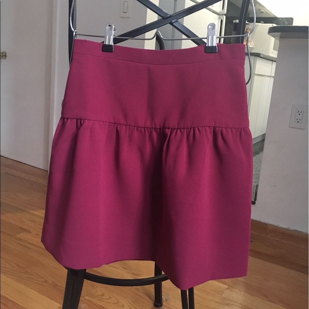 NEVER WORN JCREW berry skirt