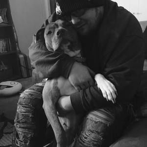 Meet your Posher, Dylan