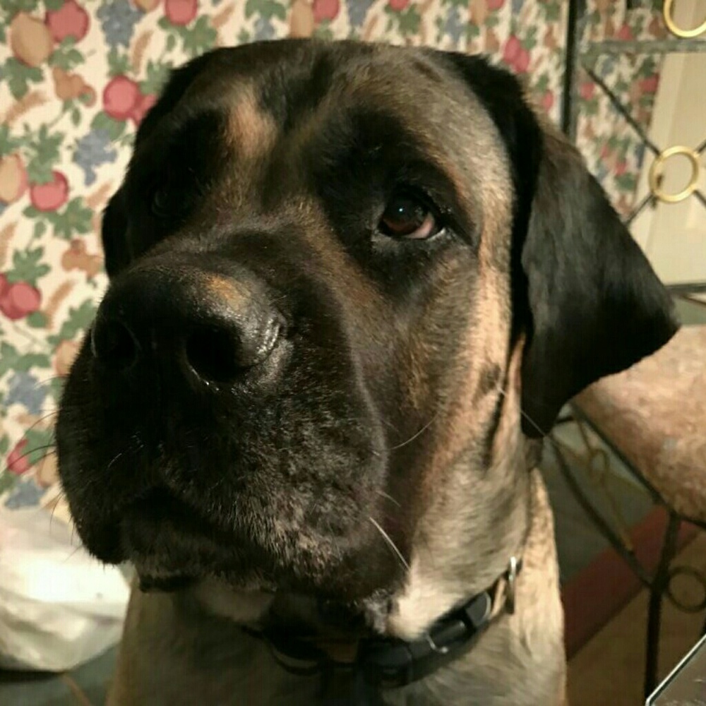 Meet your Posher, Barbara