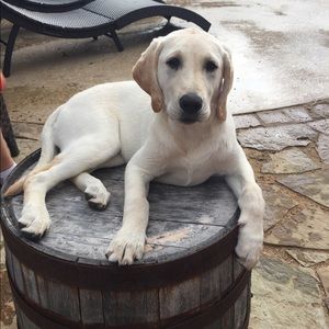 Meet your Posher, Jill