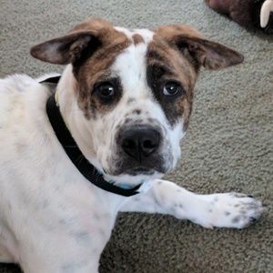 Meet your Posher, Kristy