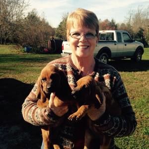 Meet your Posher, Heidi