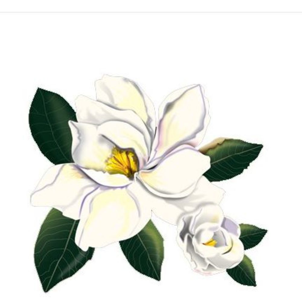 Meet your Posher, Rossly