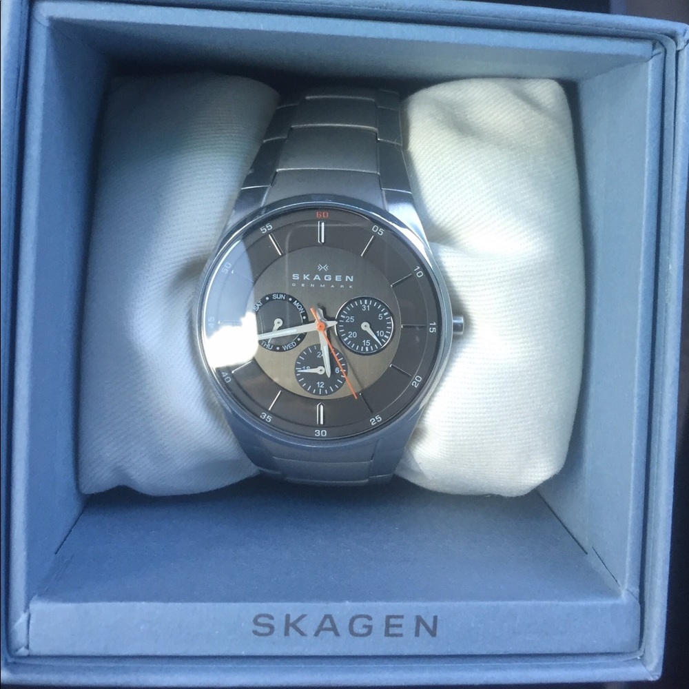 Silver Skagen Watch