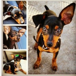 Meet your Posher, Scott