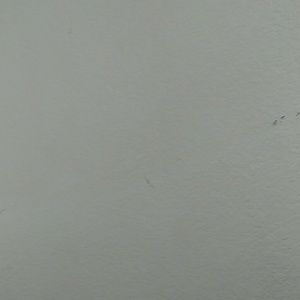 Meet your Posher, Latrice