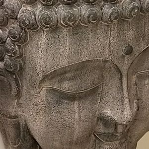 Meet your Posher, Teresa