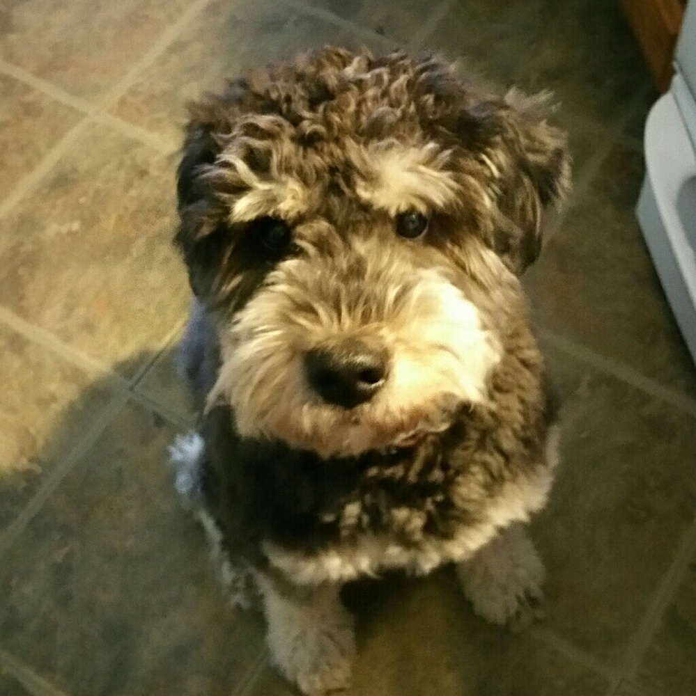 Meet your Posher, Martina