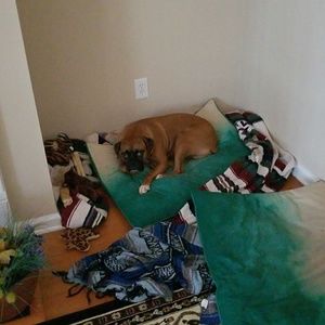 Meet your Posher, Alan