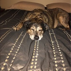 Meet your Posher, Karsen