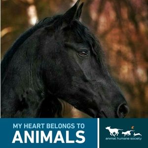 Meet your Posher, Sandy