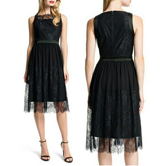 NEW Cynthia Steffe Aria Chantilly Lace Dress Black - Picture 3 of 3