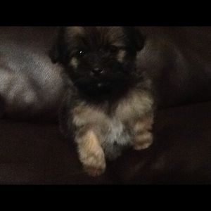 Meet your Posher, Leslie