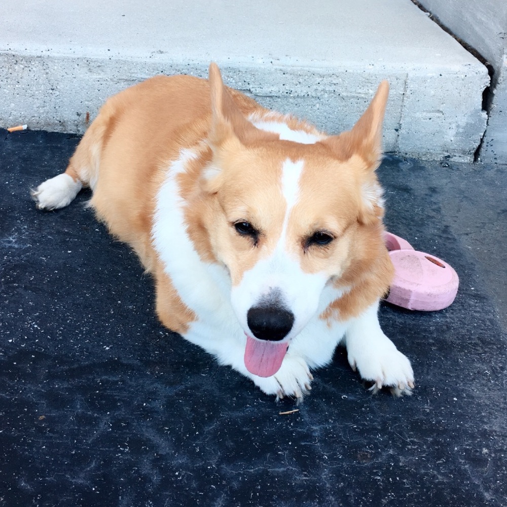 Meet your Posher, Kha