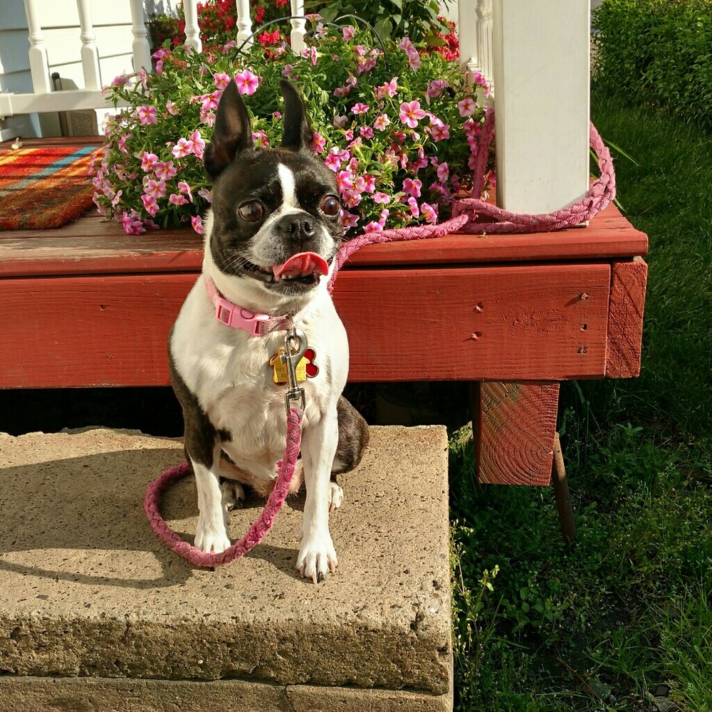 Meet your Posher, Sharon