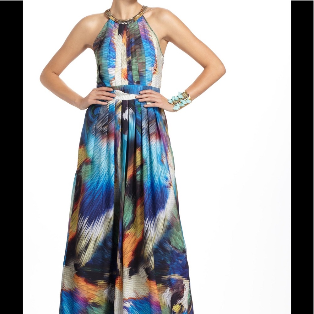 Anthropologie Ranna Gill Tropicalia Maxi Dress