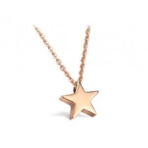 🎉🎉HOST PICK 🎉🎉 New Your My Lucky Star Necklace