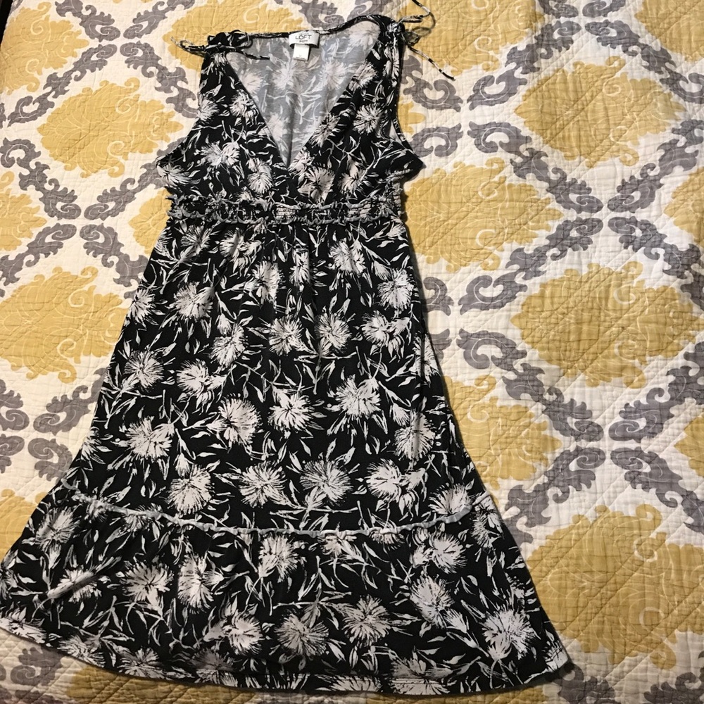 Ann Taylor Loft Dress