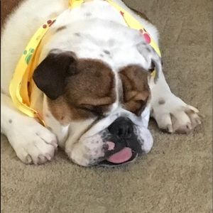 Meet your Posher, Aliah