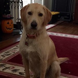 Meet your Posher, Paula