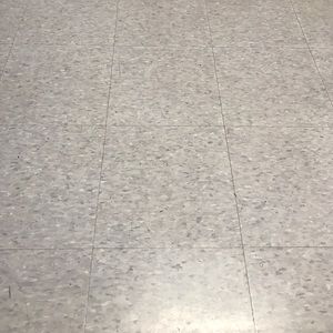 Meet your Posher, Hector