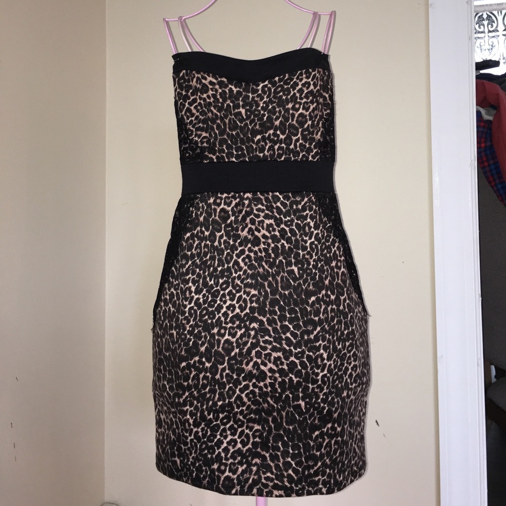 Gorgeous leopard dress