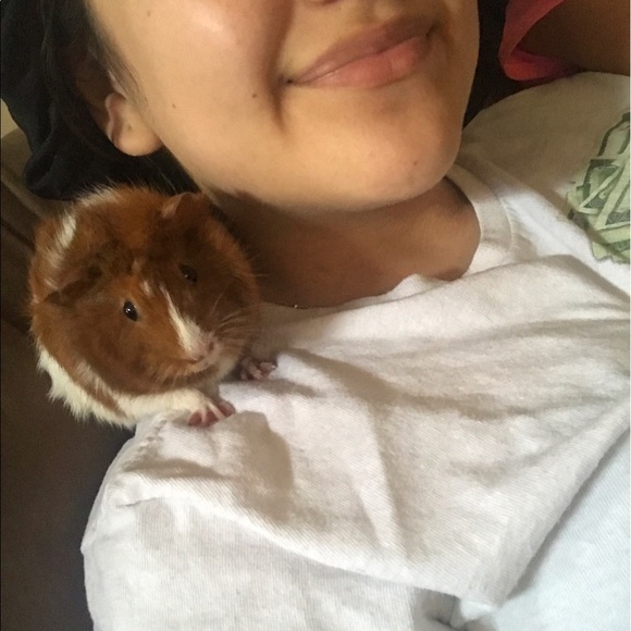 Meet my bunny and guinea pig (: - Picture 2 of 3