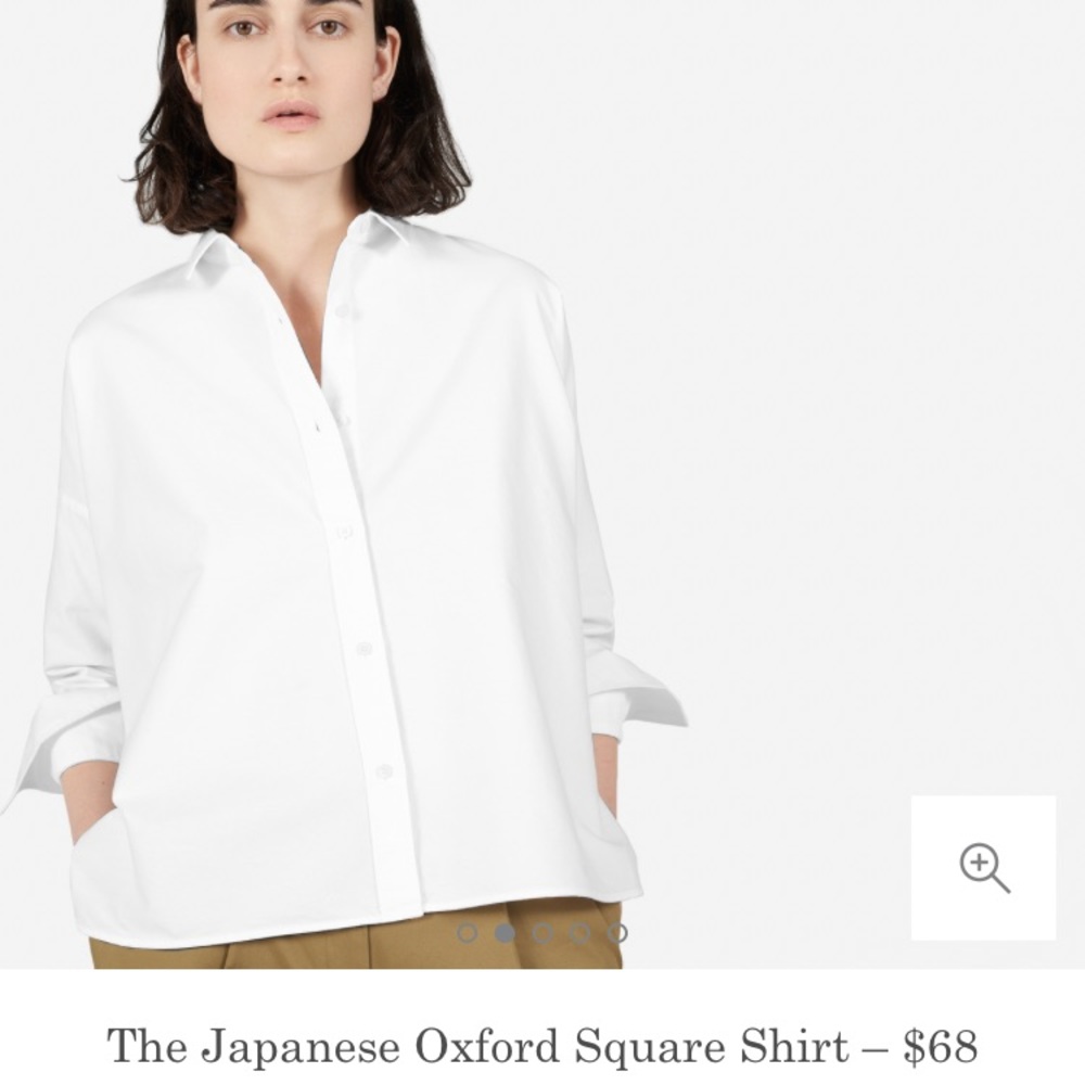 Everlane Japanese Oxford Shirt 00