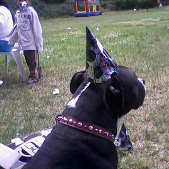 Meet your Posher, Maritza - Picture 1 of 1