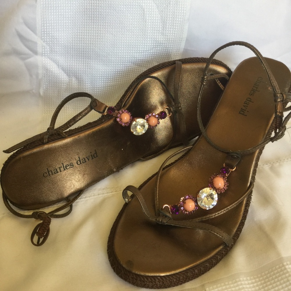CHARLES DAVID WEDGE