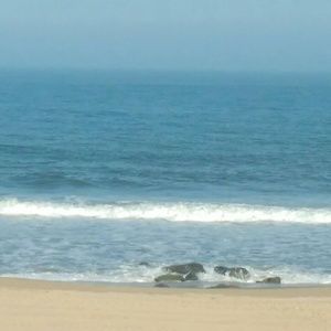 Meet your Posher, Tonya