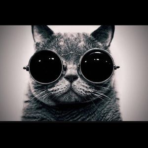 Meet your Posher, Jeff