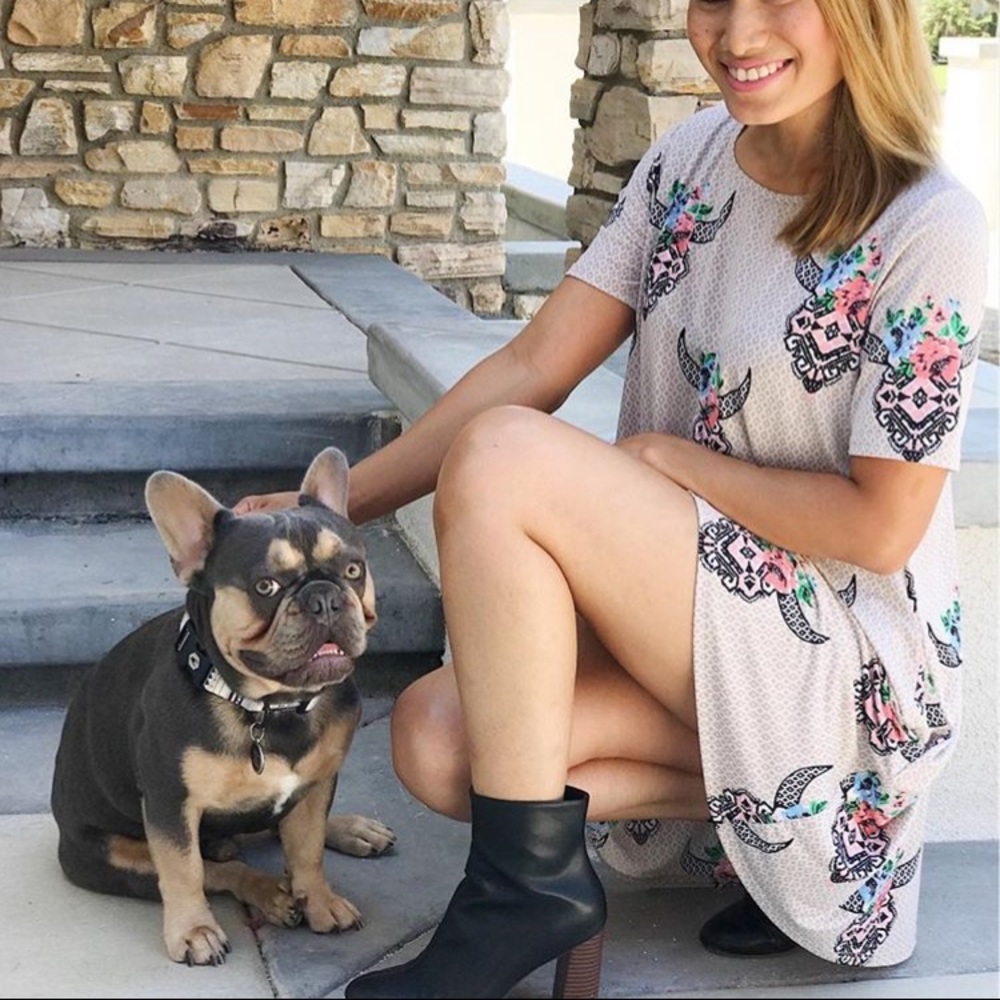 🎉FLASH SALE🎉Longhorn Bull Dress - Picture 5 of 8