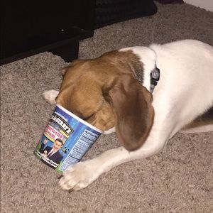 Meet your Posher, Kelsey