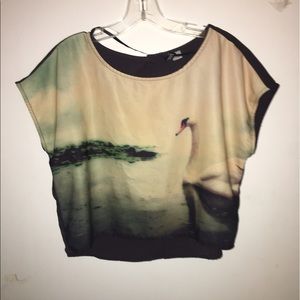 Nice Top with beautiful image of goose!