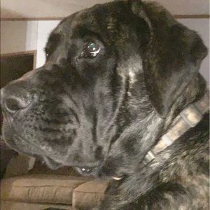 Meet your Posher, Carol