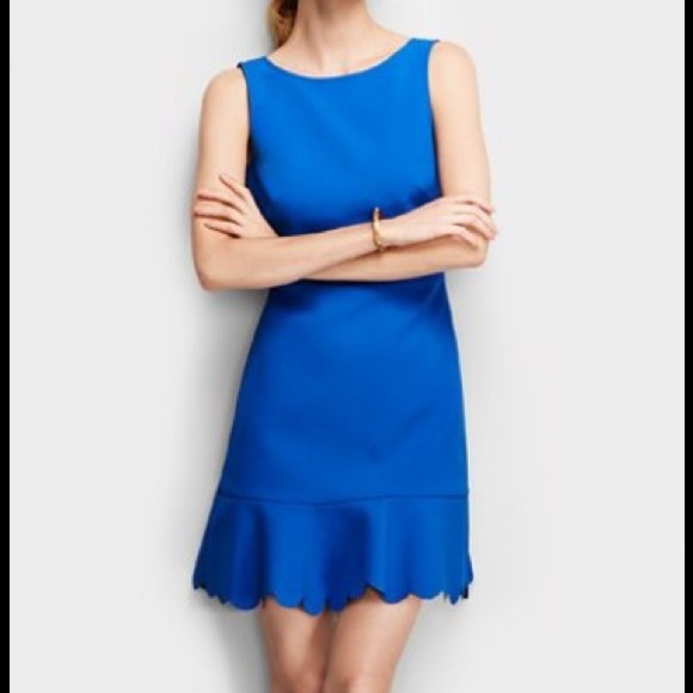 JCrew Blue Scalloped Dress - Size 2