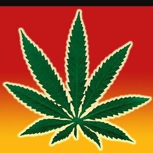 Meet your Posher, Aaliyah