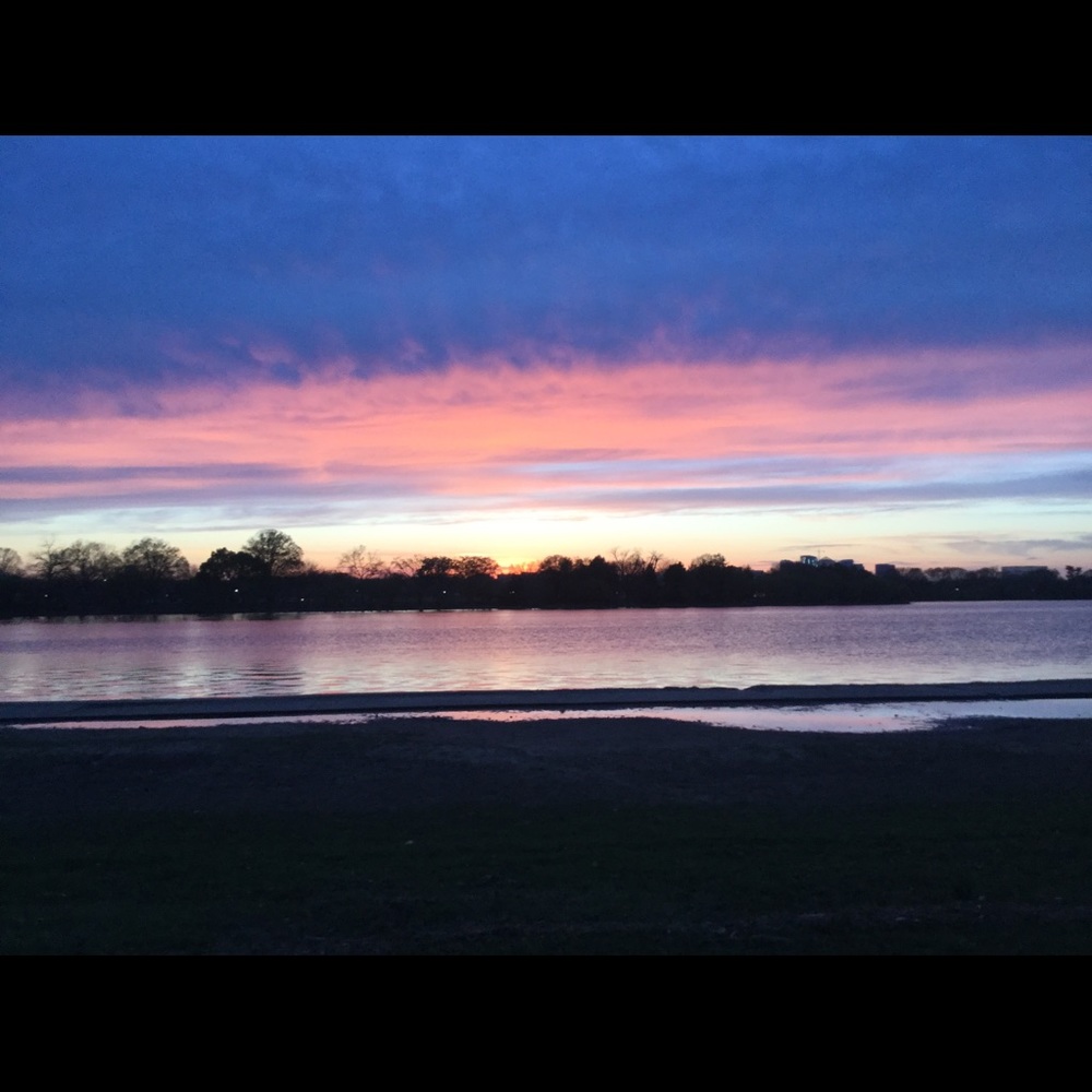 Meet your Posher, Lydia