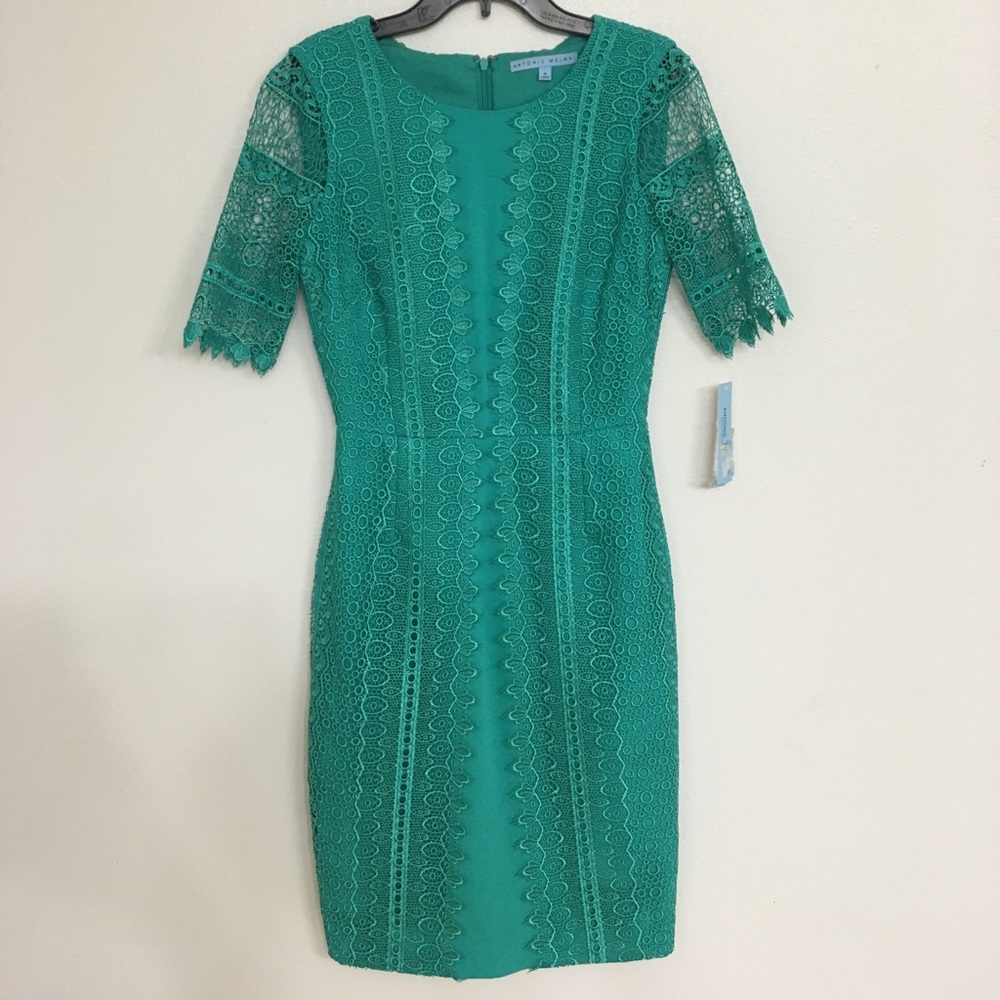 Jade lace Antonio Melani dress NWT