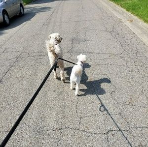 Meet your Posher, Stacie