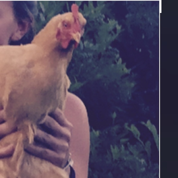 Meet your Posher, Cait - Picture 2 of 2