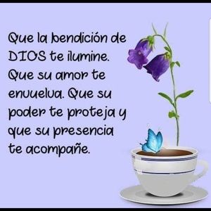 Meet your Posher, Merly