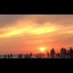 Meet your Posher, Ella