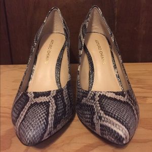 Arturo Chiang snake print heels